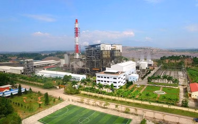 Ảnh chỉ mang tính minh họa. Nguồn Internet