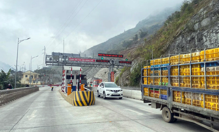 Ảnh chỉ mang tính minh họa. Nguồn Internet