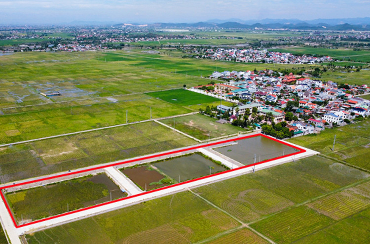 Khu vực đất (khoanh đỏ) ở xã Quỳnh Hưng vừa được đưa ra đấu giá lại.