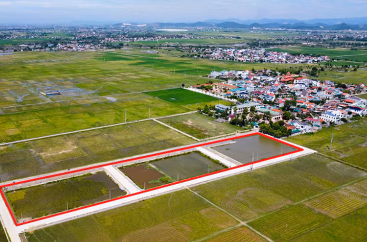 Khu vực đất (khoanh đỏ) ở xã Quỳnh Hưng vừa được đưa ra đấu giá lại.