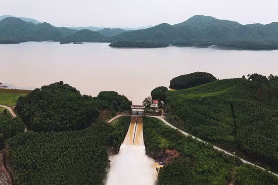 Ảnh chỉ mang tính minh họa. Nguồn Internet