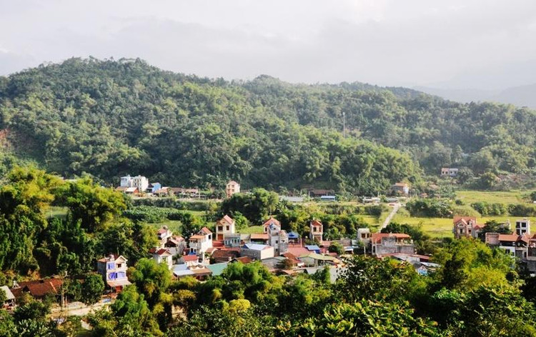 Ảnh chỉ mang tính minh họa. Nguồn Internet