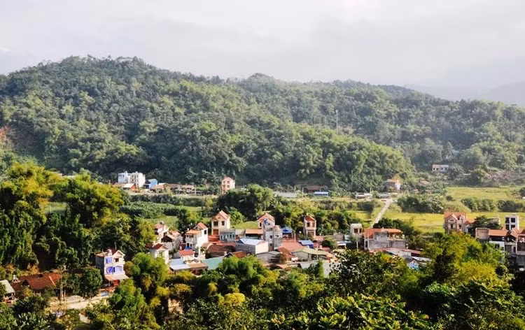 Ảnh chỉ mang tính minh họa. Nguồn Internet