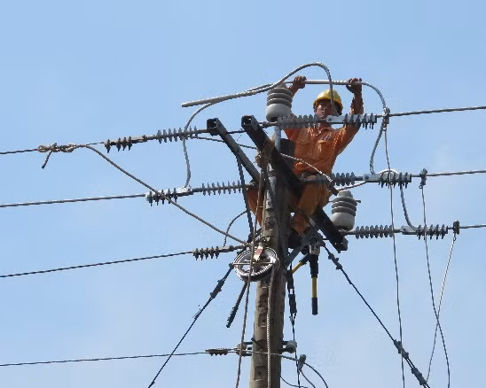 Ảnh chỉ mang tính minh họa. Nguồn Internet