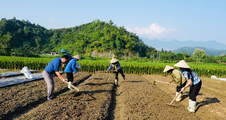Nông dân huyện Bảo Thắng, Lào Cai khắc phục hậu quả thiên tai, chuẩn bị đất gieo vụ mới.