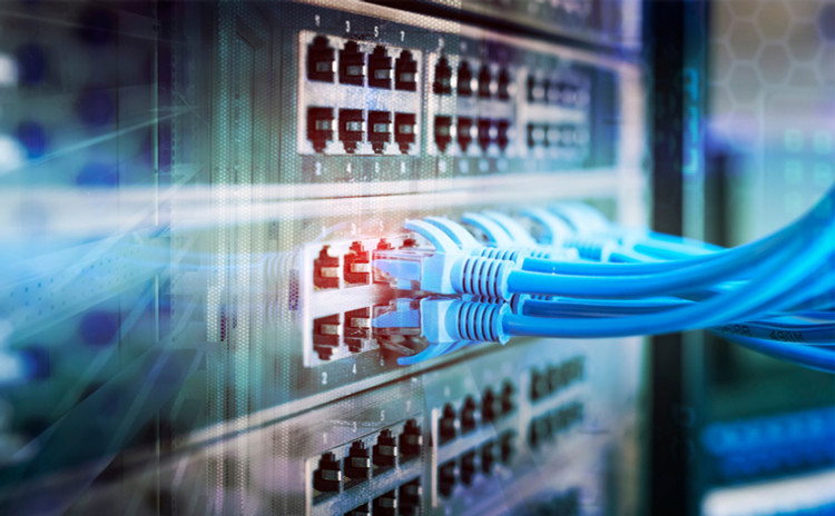 Ảnh chỉ mang tính minh họa. Nguồn Internet