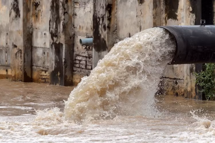 Ảnh chỉ mang tính minh họa. Nguồn Internet