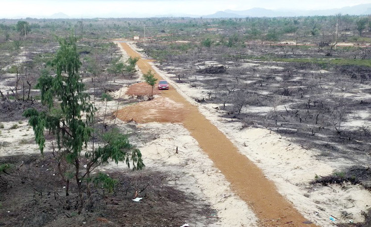 Ảnh chỉ mang tính minh họa. Nguồn Internet