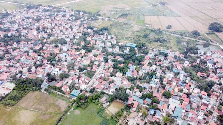 Ảnh chỉ mang tính minh họa. Nguồn Internet