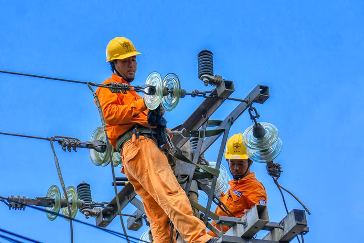 Tổng công ty Điện lực miền Nam vừa hoàn thành lựa chọn nhà thầu thực hiện 17 gói thầu thuộc 2 dự án mua sắm vật tư thiết bị trung và hạ thế năm 2023. Ảnh chỉ mang tính minh họa. Nguồn Internet