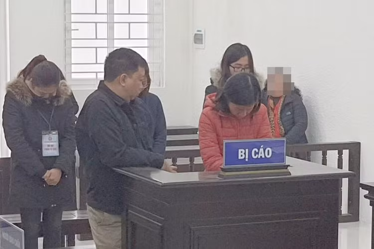 Các bị cáo cung cấp chứng chỉ giả khi bị đưa ra xét xử