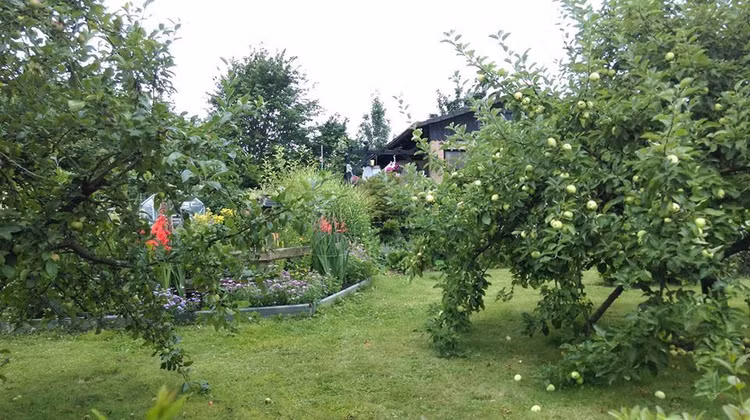 Ảnh chỉ mang tính minh họa. Nguồn Internet