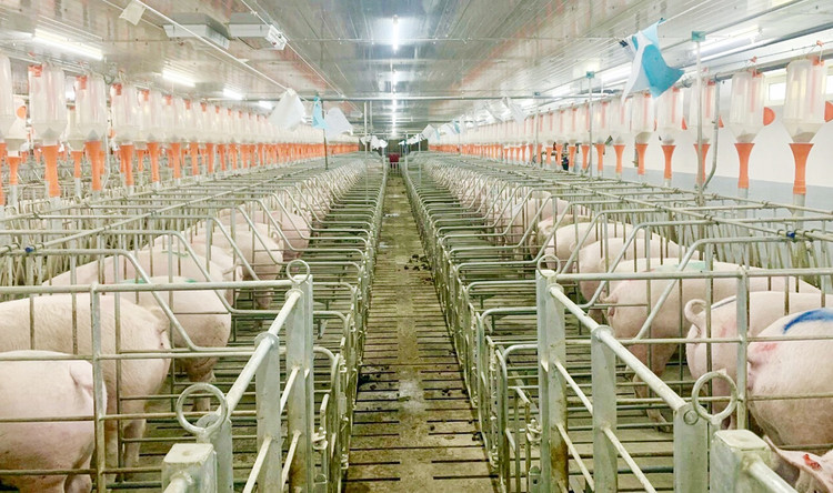 Ảnh chỉ mang tính minh họa. Nguồn Internet