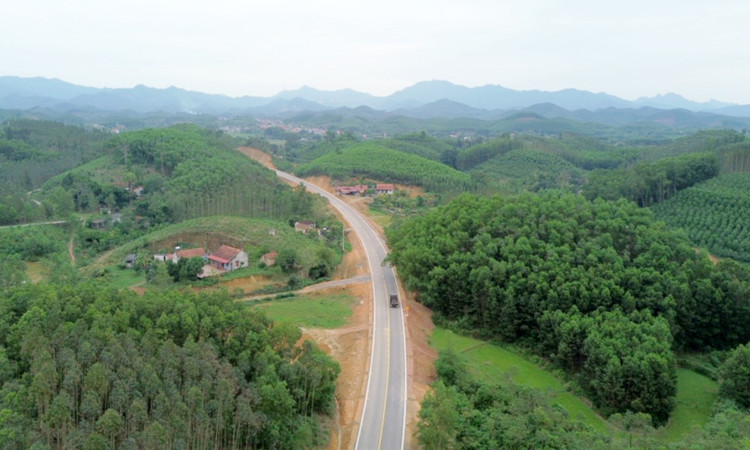 Ảnh chỉ mang tính minh họa. Nguồn Internet