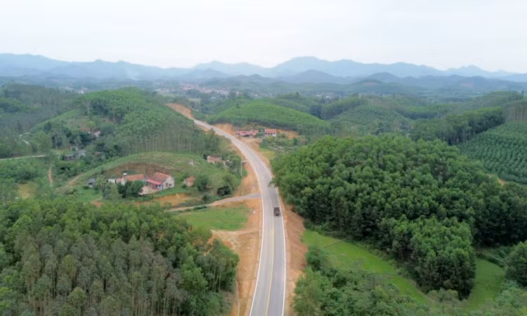 Ảnh chỉ mang tính minh họa. Nguồn Internet