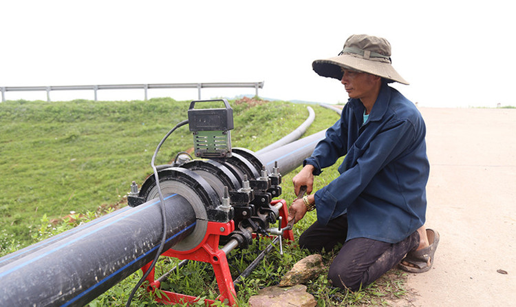 Ảnh chỉ mang tính minh họa. Nguồn Internet