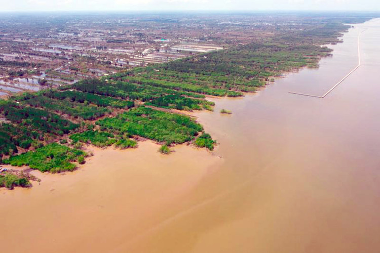 Ảnh chỉ mang tính minh họa. Nguồn Internet