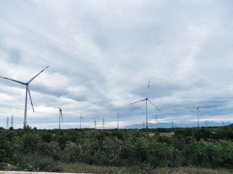 Ảnh chỉ mang tính minh họa. Nguồn Internet