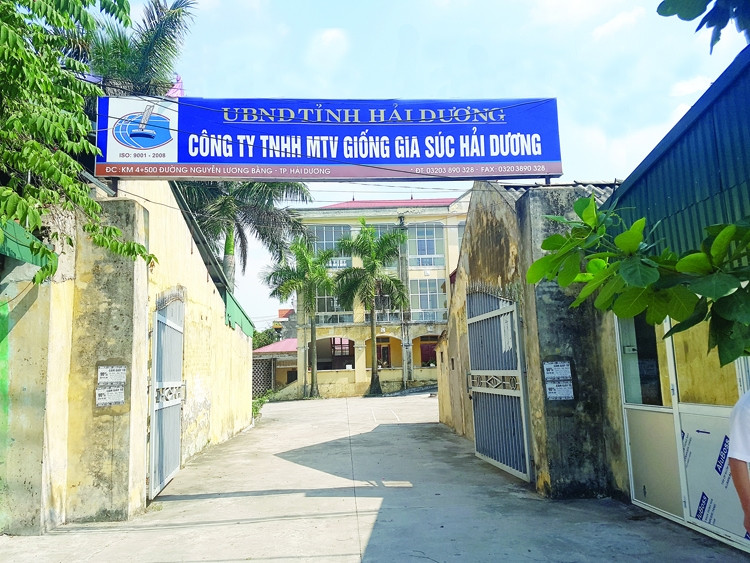 Ảnh chỉ mang tính minh họa. Nguồn Internet