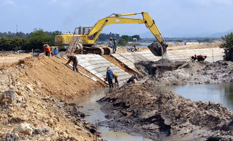 Ảnh chỉ mang tính minh họa. Nguồn Internet