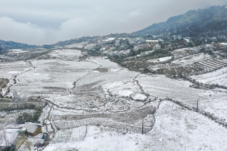 Từ 31/1 đến 4/2, Bắc Bộ và Bắc Trung Bộ tiếp tục xảy ra rét đậm, rét hại trên diện rộng