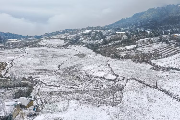 Từ 31/1 đến 4/2, Bắc Bộ và Bắc Trung Bộ tiếp tục xảy ra rét đậm, rét hại trên diện rộng