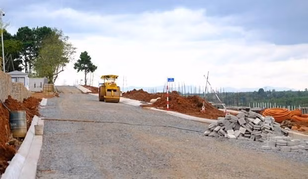 Ảnh minh họa. TTXVN