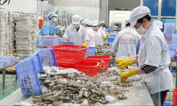 6 tháng đầu năm 2025, xuất khẩu nông lâm thủy sản ước tăng trên 14%. Ảnh minh họa