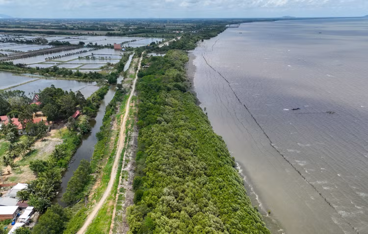 Ảnh chỉ mang tính minh họa. Nguồn Internet