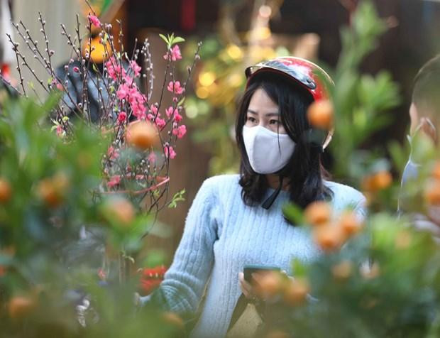 Thời tiết nắng đẹp, người dân chọn mua cành đào về chơi Tết. Ảnh: TTXVN