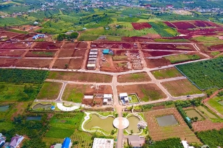 Đại công trình Sun Valley cạo trọc màu xanh của quả đồi 41ha.