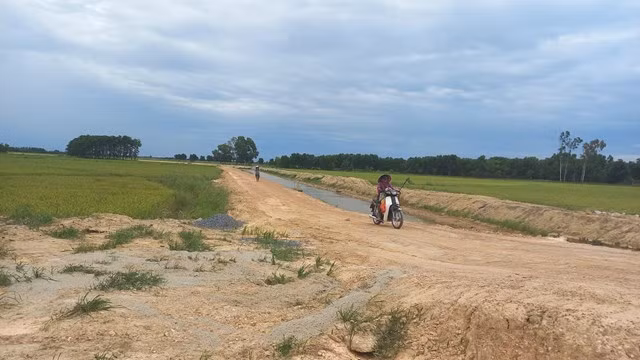 Ảnh chỉ mang tính minh họa. Nguồn Internet