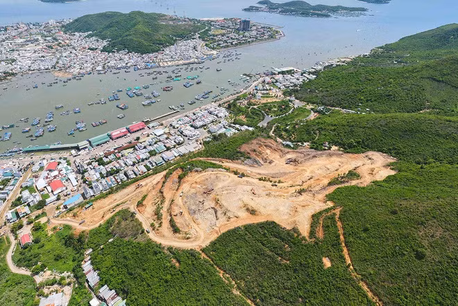 Ảnh chỉ mang tính minh họa. Nguồn Internet