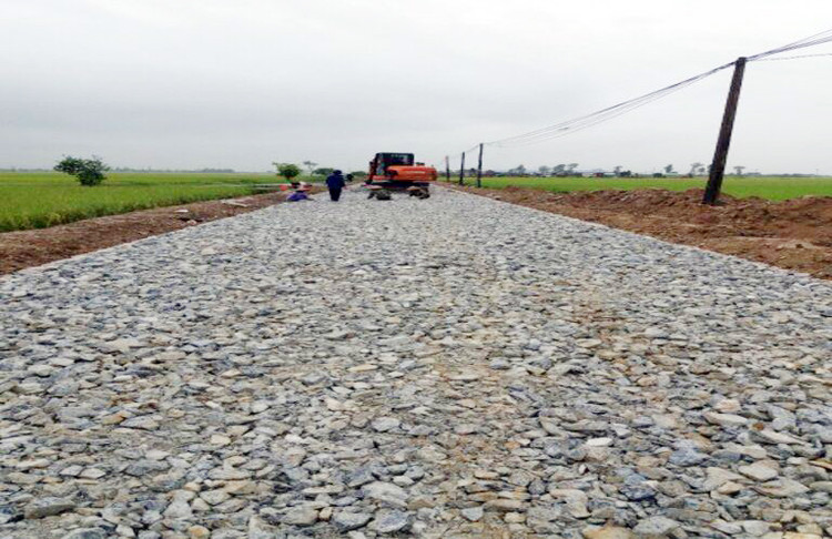 Ảnh chỉ mang tính minh họa. Nguồn Internet