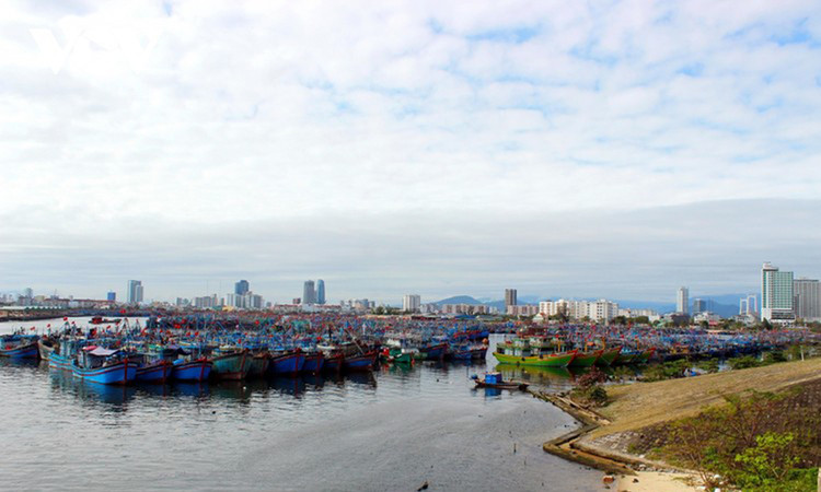 Ảnh chỉ mang tính minh họa. Nguồn Internet