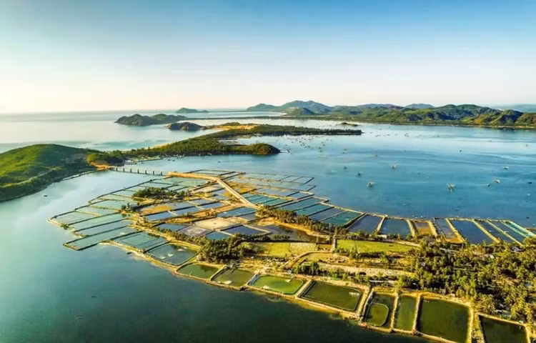 Ảnh chỉ mang tính minh họa. Nguồn Internet