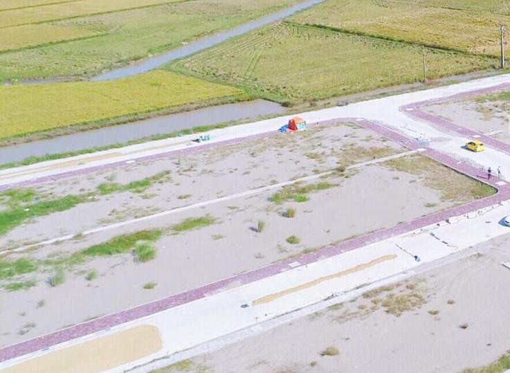 Ảnh chỉ mang tính minh họa. Nguồn Internet