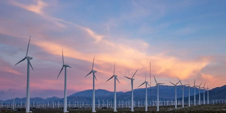 Ảnh chỉ mang tính minh họa. Nguồn Internet