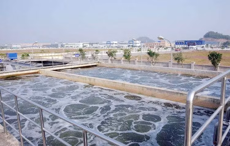 Ảnh chỉ mang tính minh họa. Nguồn Internet