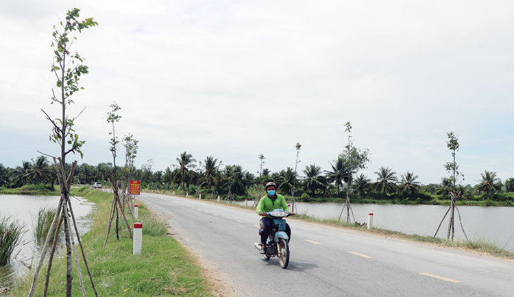 Ảnh chỉ mang tính minh họa. Nguồn Internet