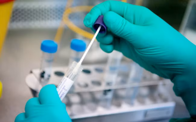 Ảnh chỉ mang tính minh họa. Nguồn Internet