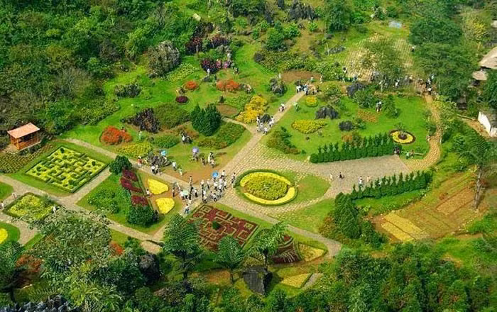 Ảnh chỉ mang tính minh họa. Nguồn Internet