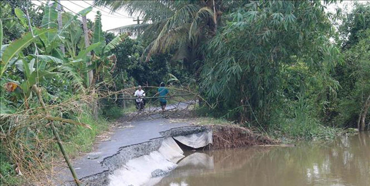 Xây dựng Đại Đồng Tiến trúng thầu và đảm nhận phần lớn công việc của Dự án Kè chống sạt lở Cồn Ngang có 3 gói thầu xây lắp, được đấu thầu qua mạng. Ảnh chỉ mang tính minh họa. Nguồn Internet