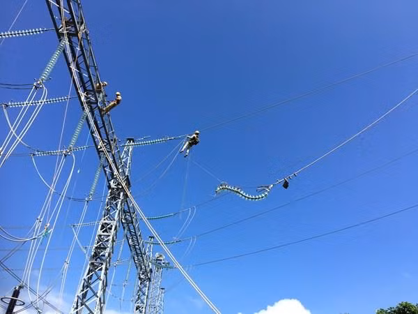 Ảnh chỉ mang tính minh họa. Nguồn Internet