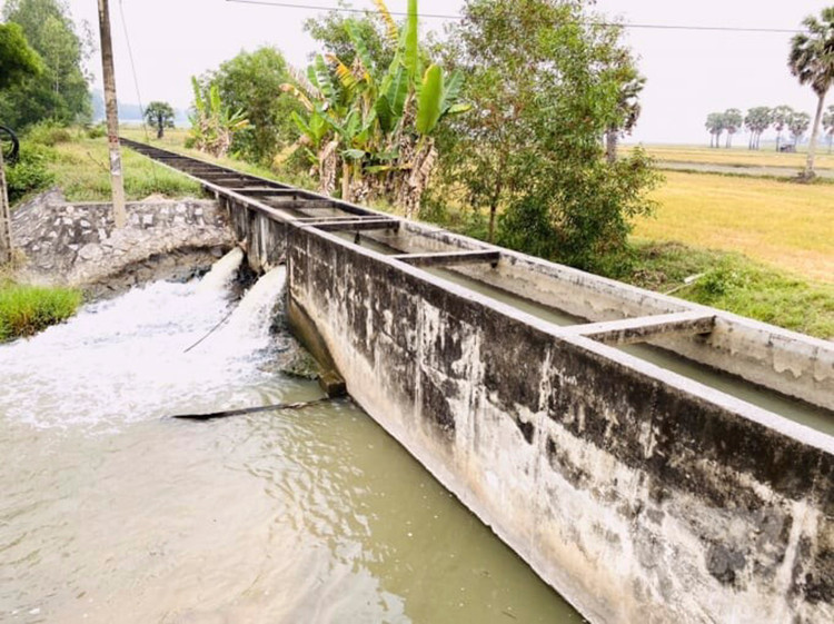 Ảnh chỉ mang tính minh họa. Nguồn Internet