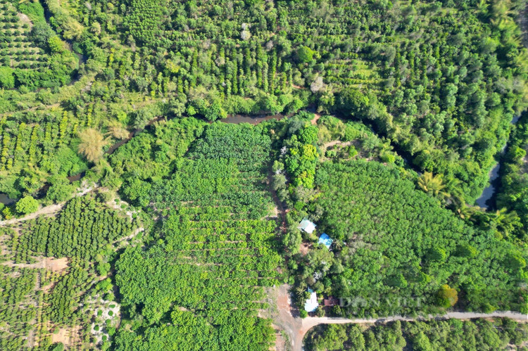 Đồng Nai đề xuất làm đường chạy xuyên rừng nối Bình Phước rộng 4 làn xe. Ảnh minh họa