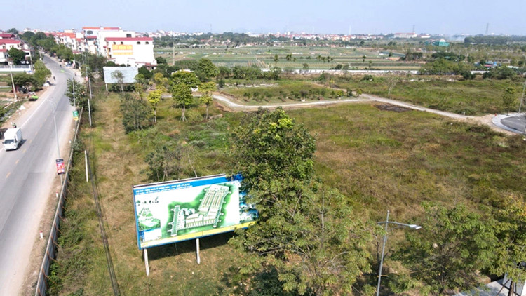 Ảnh chỉ mang tính minh họa. Nguồn Internet