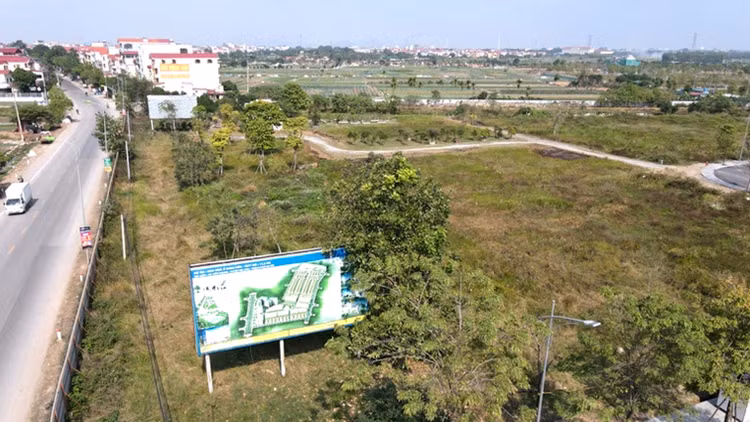 Ảnh chỉ mang tính minh họa. Nguồn Internet