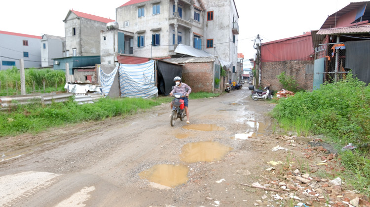 Ảnh chỉ mang tính minh họa. Nguồn Internet