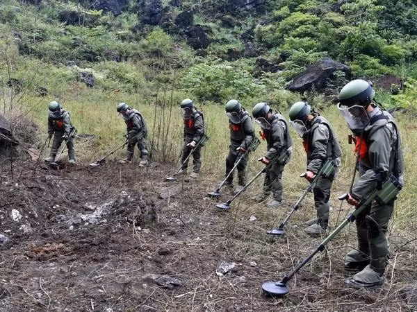 Ảnh chỉ mang tính minh họa. Nguồn Internet